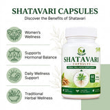 Shatavari Capsules – 60 Caps | Women's Wellness Support