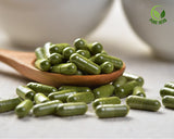 Ashwagandha 60 Caps + Free Moringa 60 Caps – Wellness Booster Combo