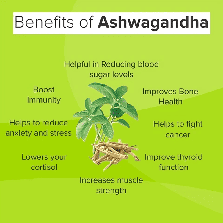 Stress Relief + Energy Booster Combo (Ashwagandha + FREE Moringa)