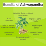 Ashwagandha 60 Caps + Free Moringa 60 Caps – Wellness Booster Combo